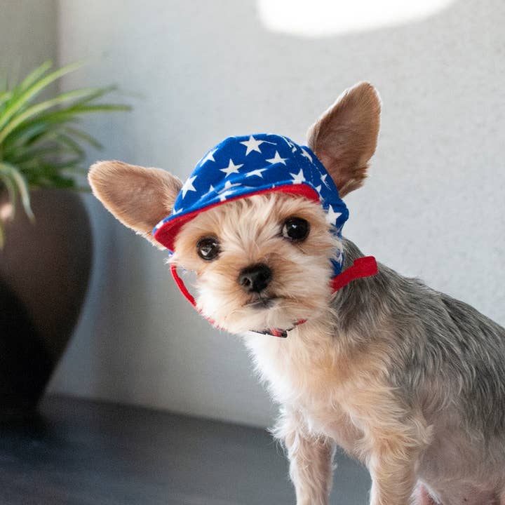 Dogo Pet - Wholesale Pet Hat - Dog - Star Hat10