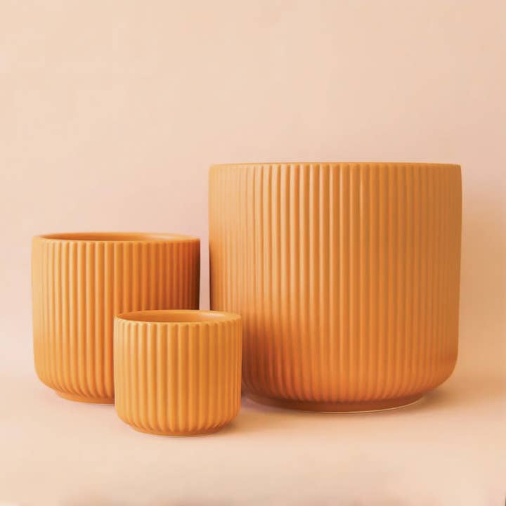 Jungle Club - Wholesale Plant Pot - Lucy Planter | Ginger