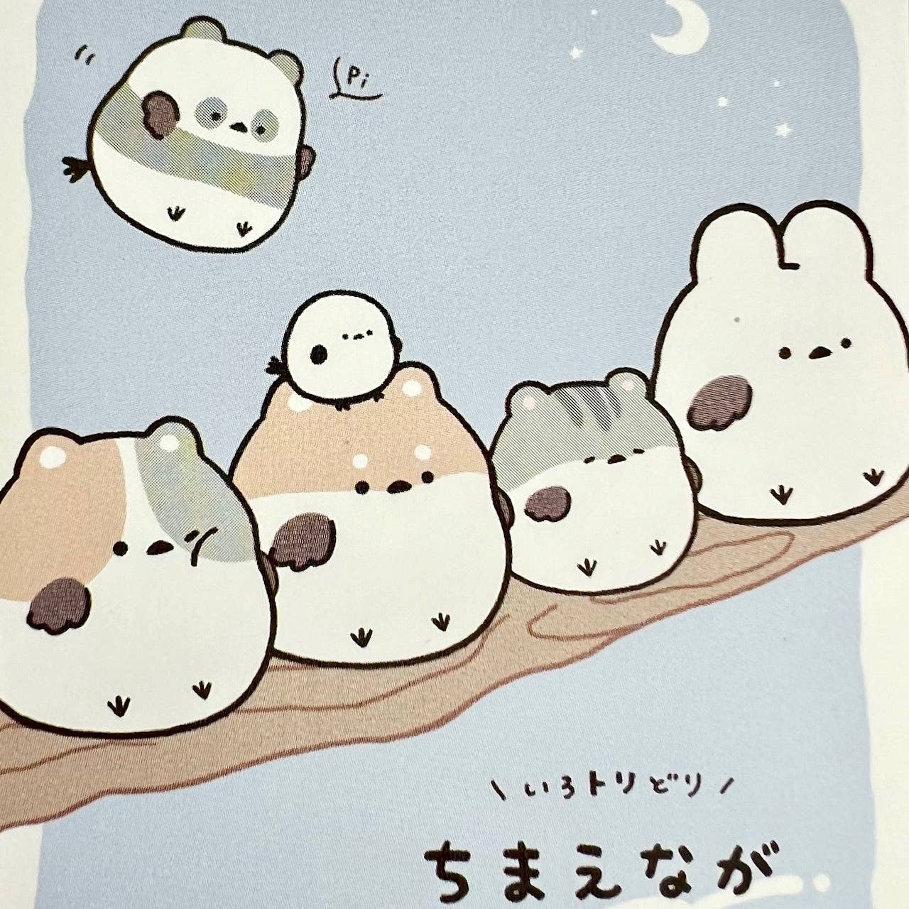 BCmini - Wholesale Notepad - 114552 Round Animal Birds Animals Mini Notepad-101