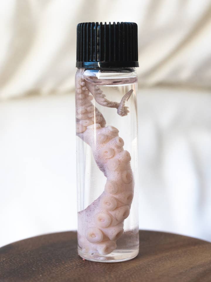 Octopus Tentacle Vial for wholesale by Mz. Jones’ Curio, Inc.
