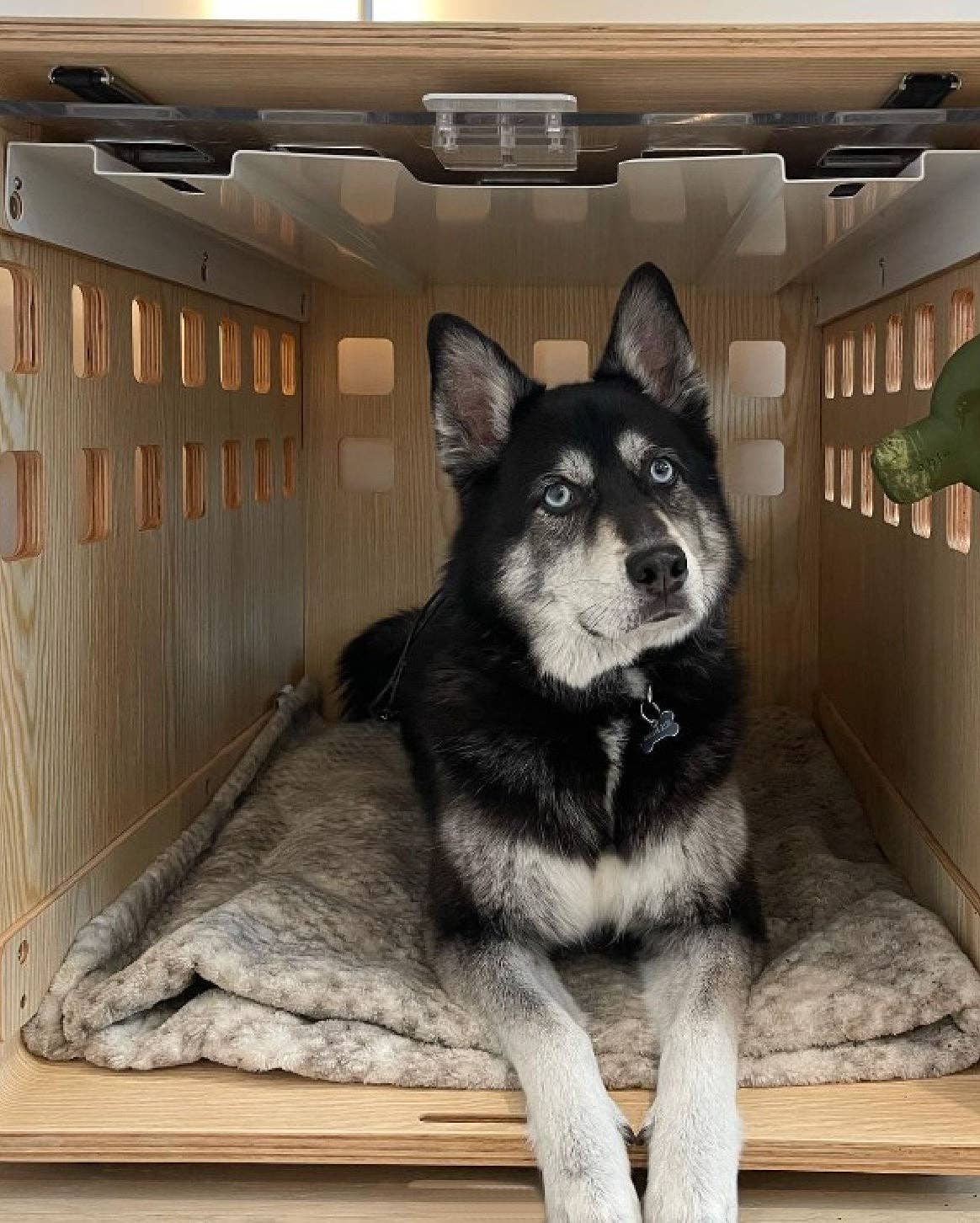 Fable Pets - Wholesale Pet Crate Pad - Dog - Wooden Dog Crate17