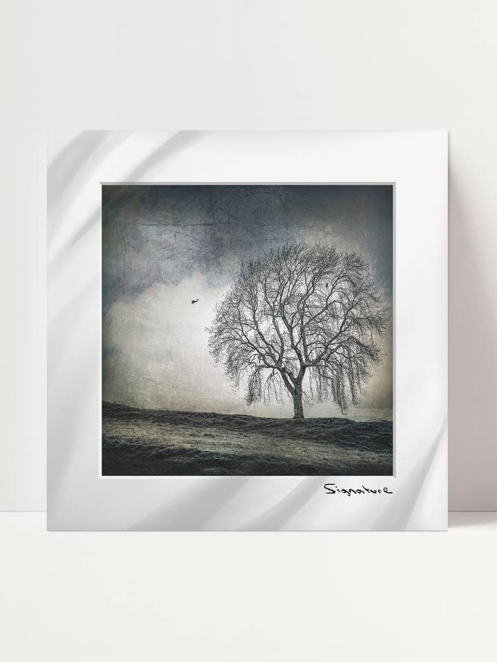 Árbol Tercero del Norte para venta al por mayor de Ecosse Encaustics Cards