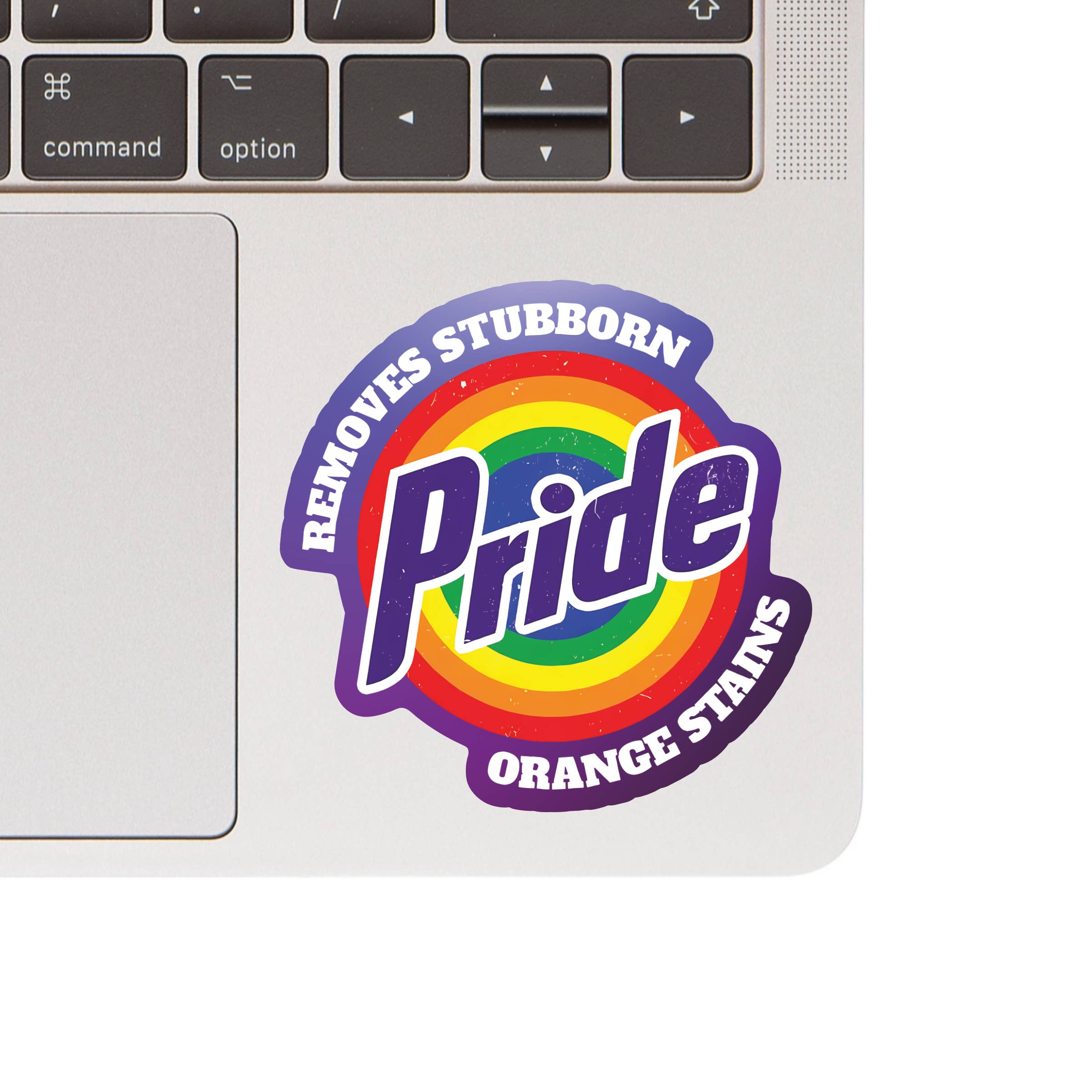 Juju and Moxie - Wholesale Sticker - Pride Politics LGBTQ+ Ally Funny High Quality Vinyl Sticker1