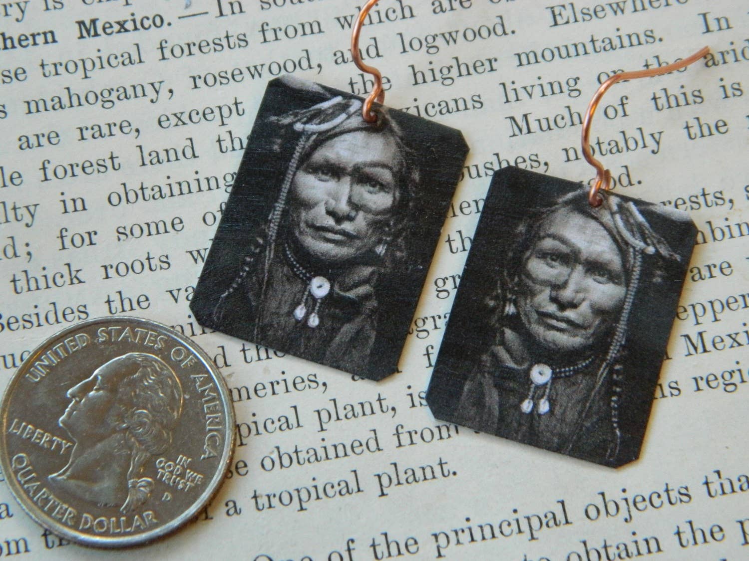 Sarah Wood Studio - Wholesale Dangle Earrings - Earrings Gertrude Kasebier Native American Iron White Man1