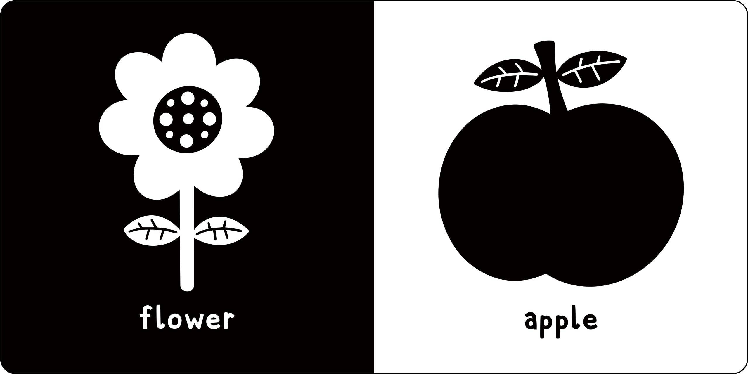 Peter Pauper Press - Wholesale Baby & Toddler Book (0-2) - What Does Baby See? A High-Contrast Board Book3