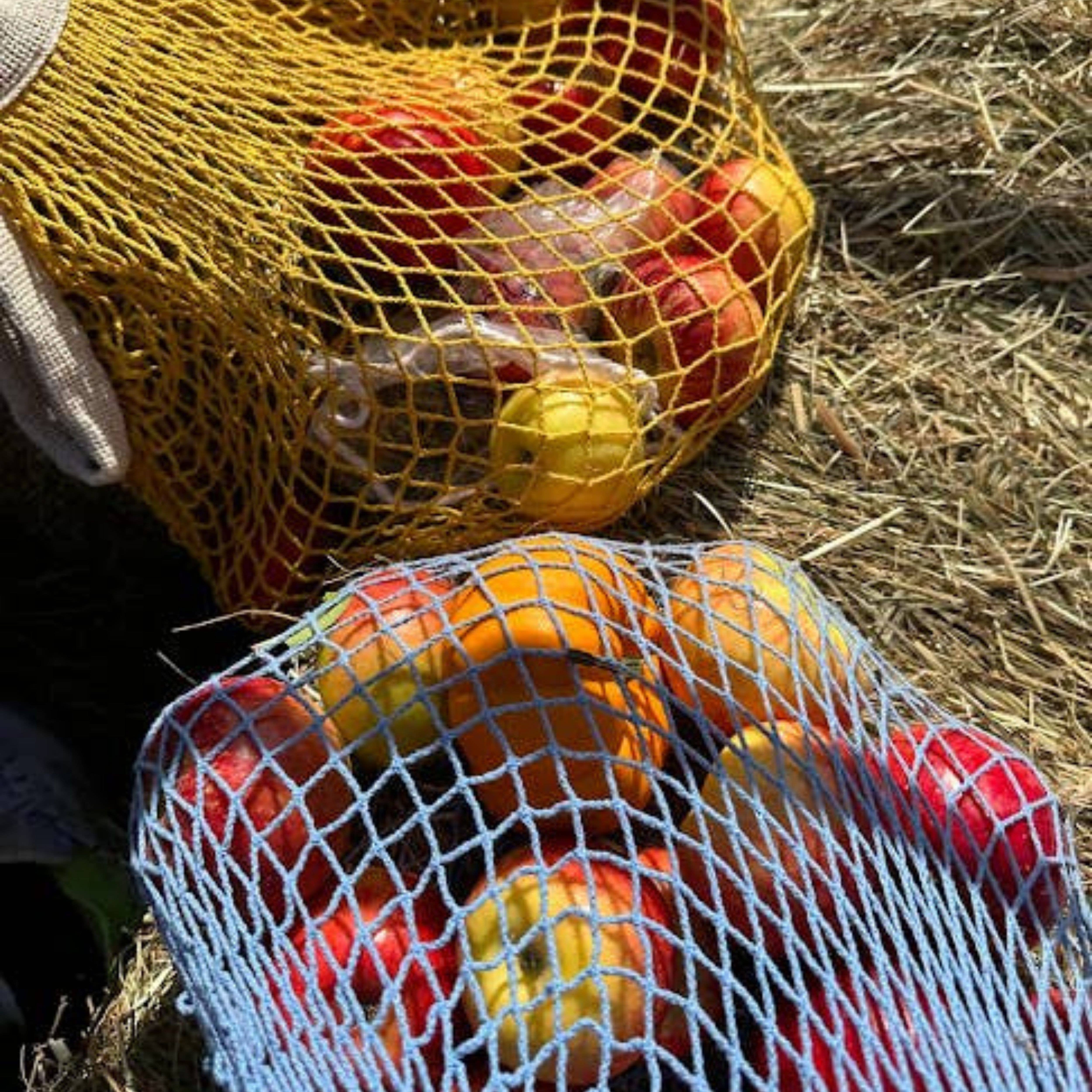 the french market bag no.2 in french blue for wholesale on Faire5