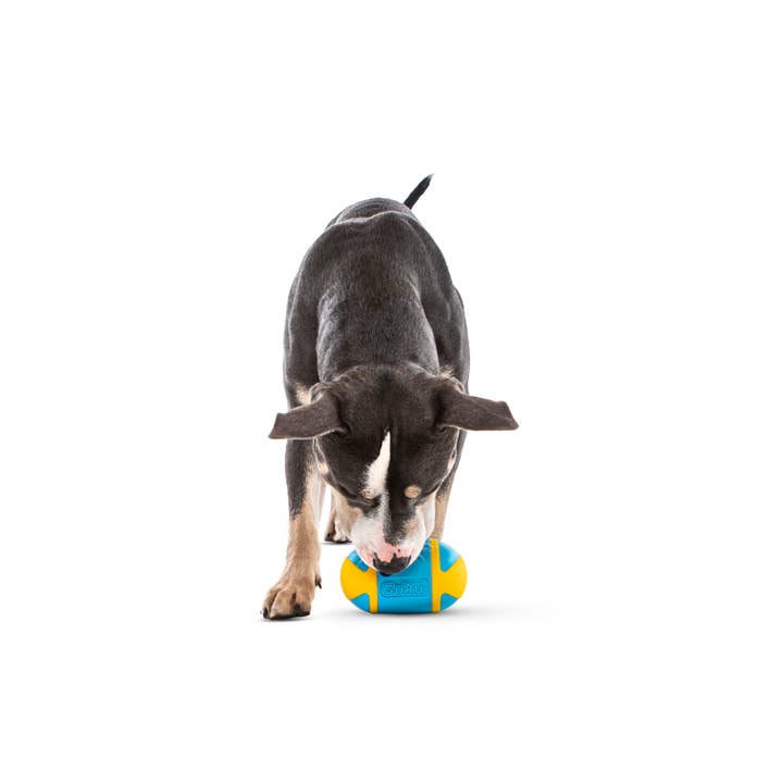 Pet Palette Distribution - Wholesale Pet Toy - Dog - GURU Pet Company Rock 'N Treat Interactive Dog Toy Medium