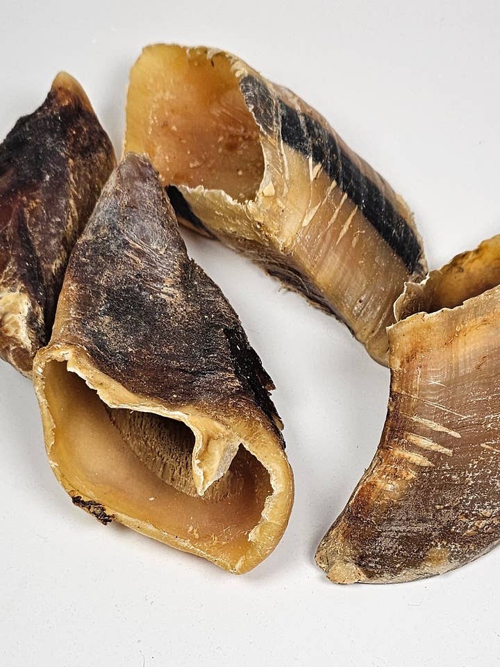 Spirit of Wild cow hooves for wholesale by Spirit of Wild