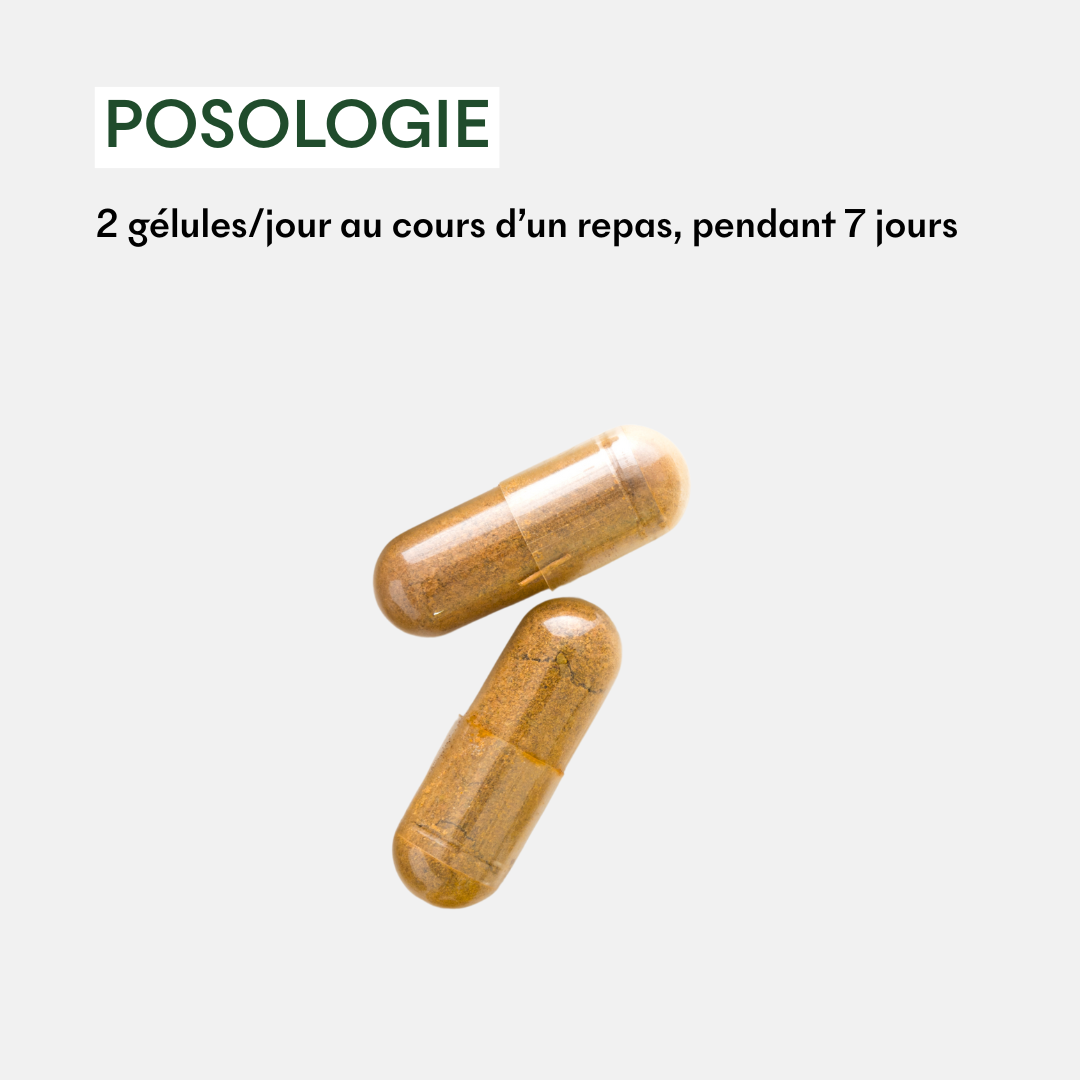 MakeMyMask - Wholesale Scalp/Hair Treatment - Pharma PAV - SOS Dry and Oily Patches3