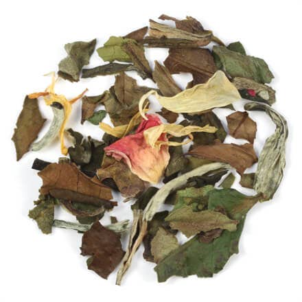 Buddha's Droom voor wholesale door Teasperience