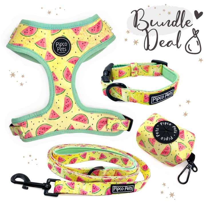 Pipco Pets - Wholesale Pet Harness - Dog - 4-Piece Walkies Bundle: Summer Melons