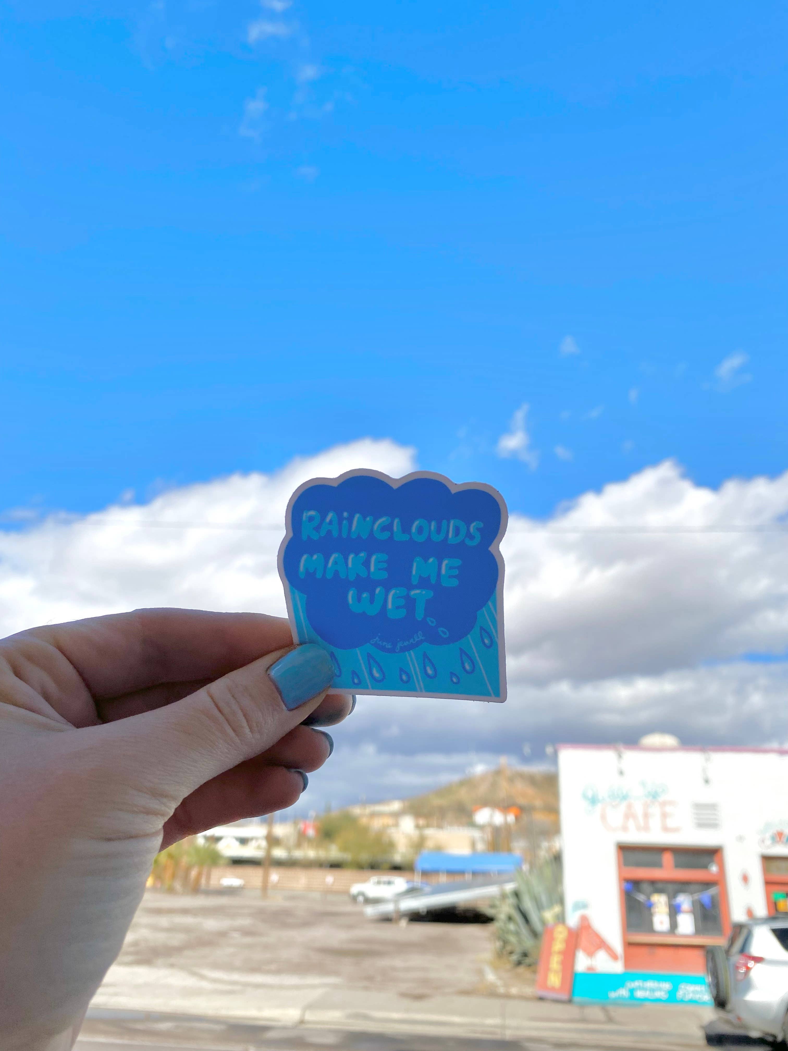 June Jewell Designs - Wholesale Sticker - 2.5” Raincloud Vinyl Sticker2