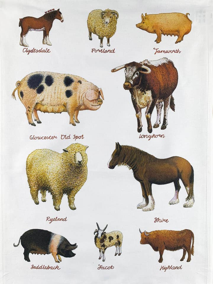 Rare Breeds of Farm Animals Large Cotton Tea Towel for wholesale by Half a Donkey