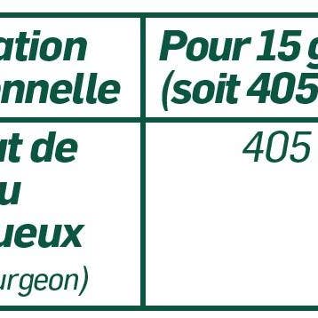 Bouleau Bio pour la vente par SANTAROME BIO