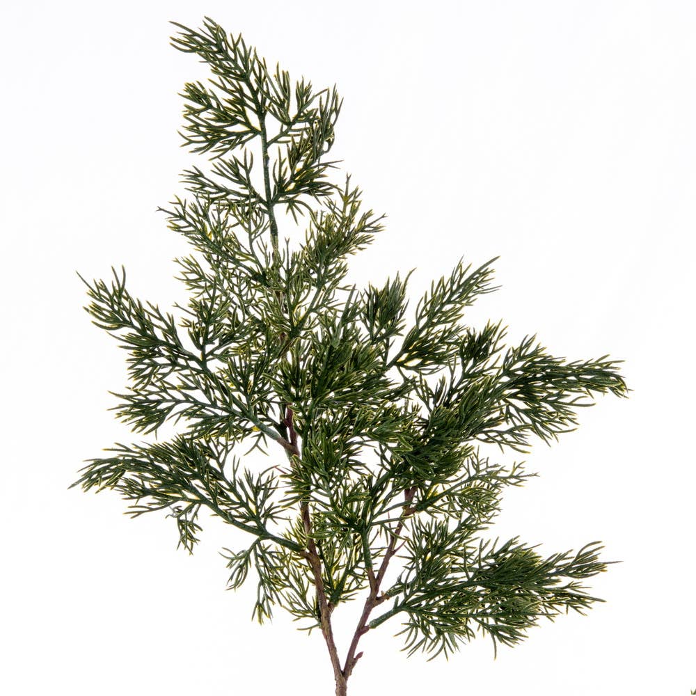 Vickerman 37" Artificial Green Cypress Sapling Potted. for wholesale on Faire1