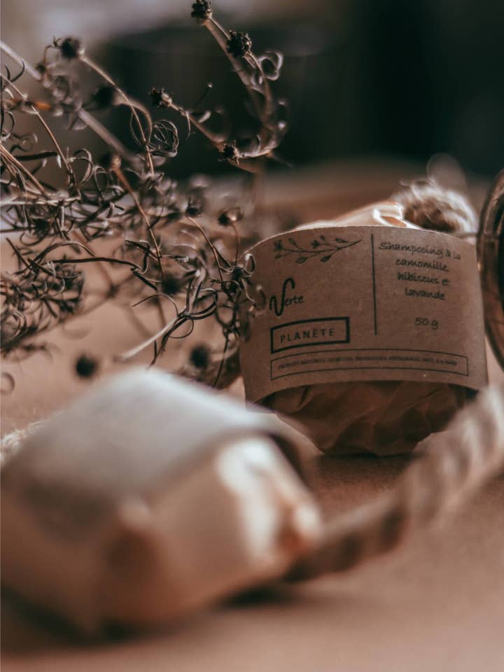 Duo shampoing et revitalisant pour la vente par Zarits Verte Planète