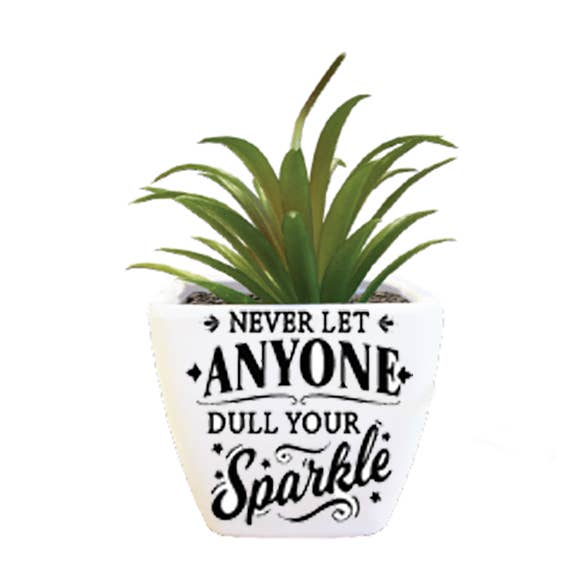 Sentiment Succulent - Sparkle for wholesale by The H&H Group