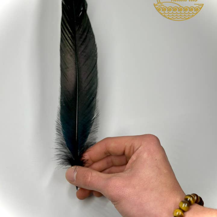 Faiza Naturals - Wholesale Sage bundle - Black Feathers for Smudging2