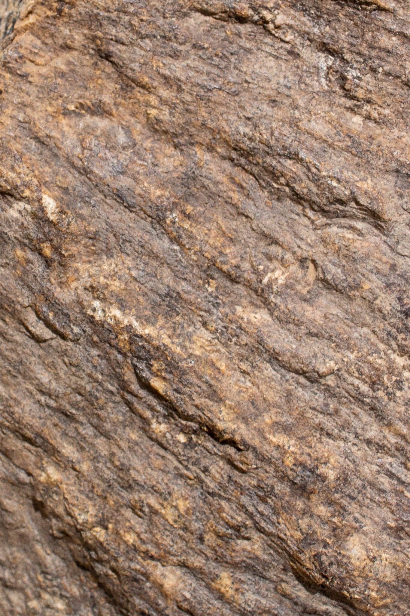 Stemcell Science Shop – wholesale Decorative tabletop object – Shatter Cone4