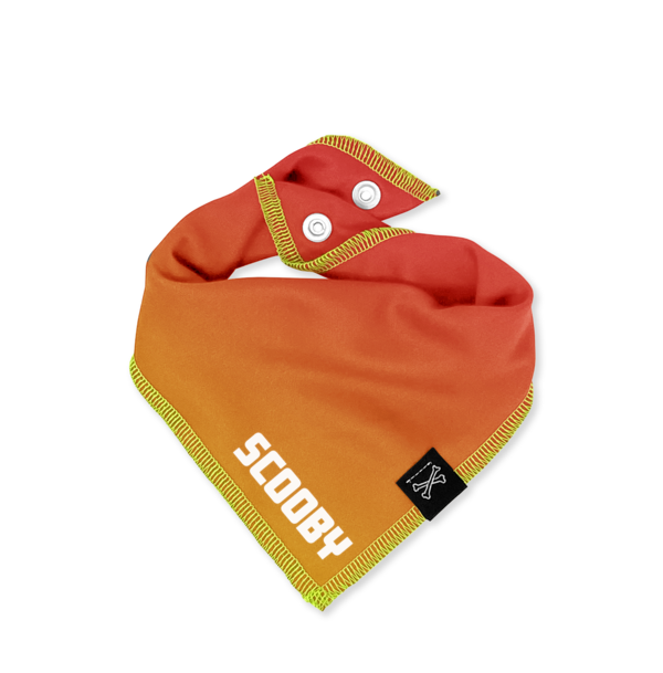 Bad Service Dogs - Vente Bandana – chien - Miami Matins | Bandana personnalisable pour chien orange et rouge3