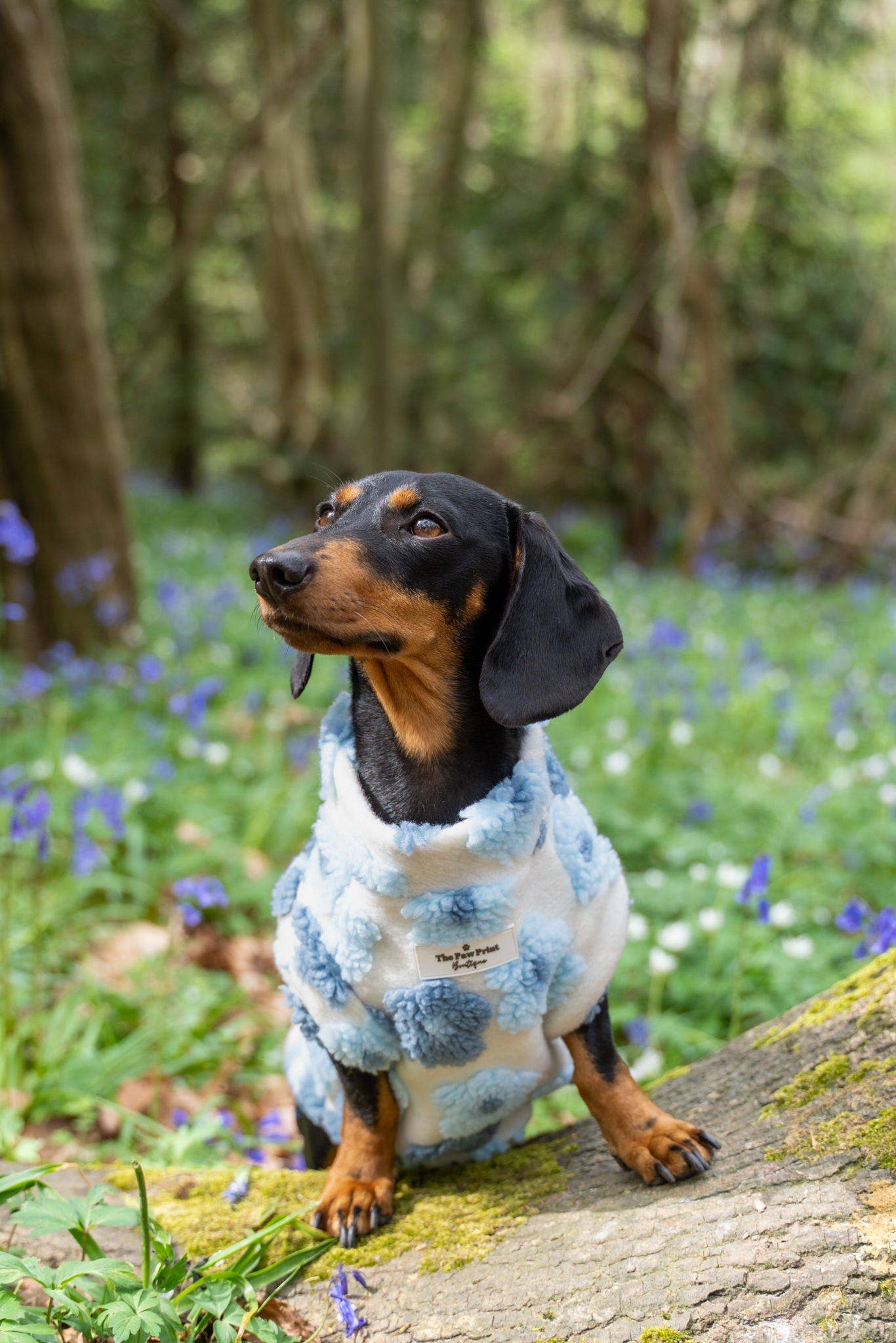 The Paw Print Boutique - Wholesale Pet jumper – Dog - The Bluebell Blue Floral Fleece15