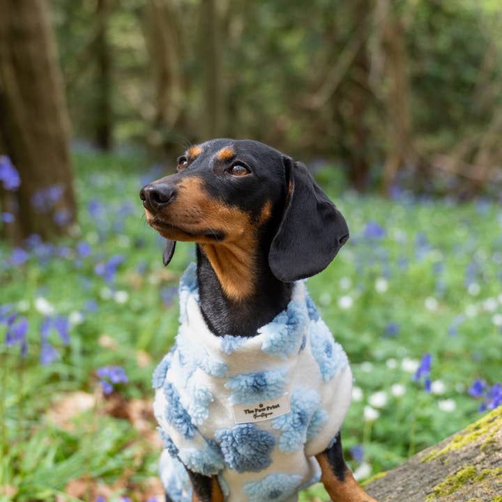 The Paw Print Boutique - Wholesale Pet jumper – Dog - The Bluebell Blue Floral Fleece15