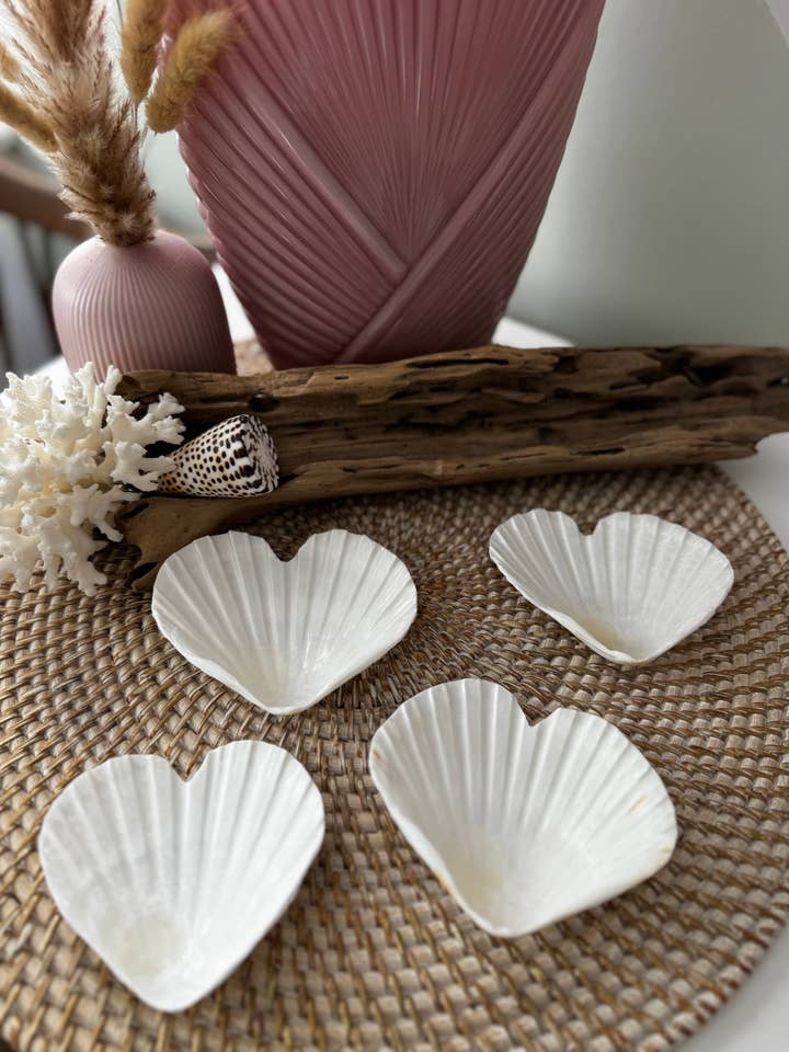Natural White Heart Shaped Scallop Shells -Set of 6 (Copy) for wholesale by Salty Sea Company