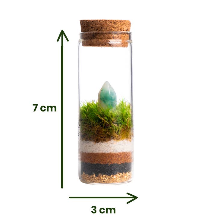 Ecodecs - Wholesale Terrarium - Zelfvoorzienend terrarium met mineraal - Miniterra
