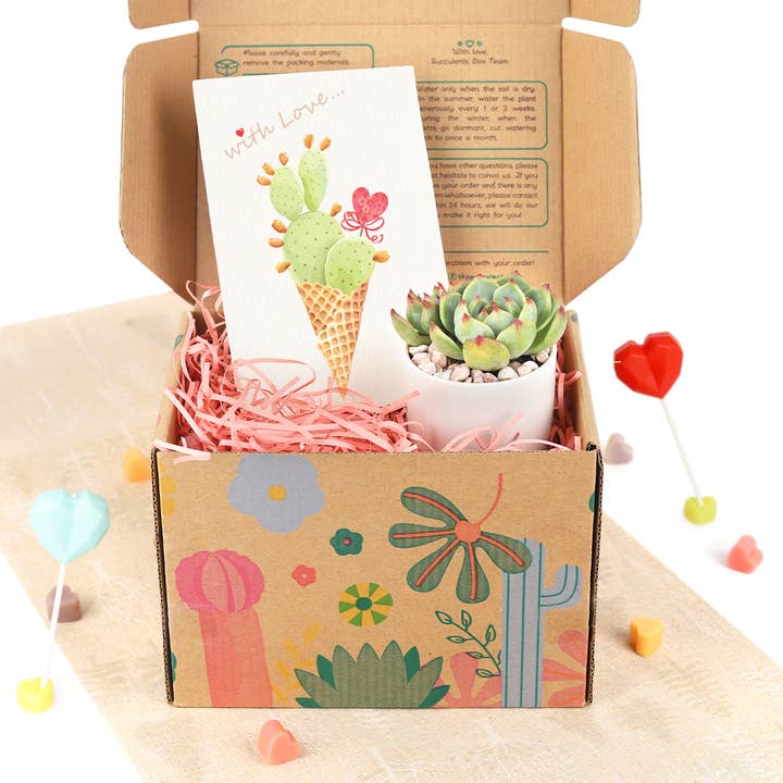 Best Plant Friend - Wholesale Gift Box - Valentine Gift Box - 1 Succulent - Gift Boxes Ideas For Her