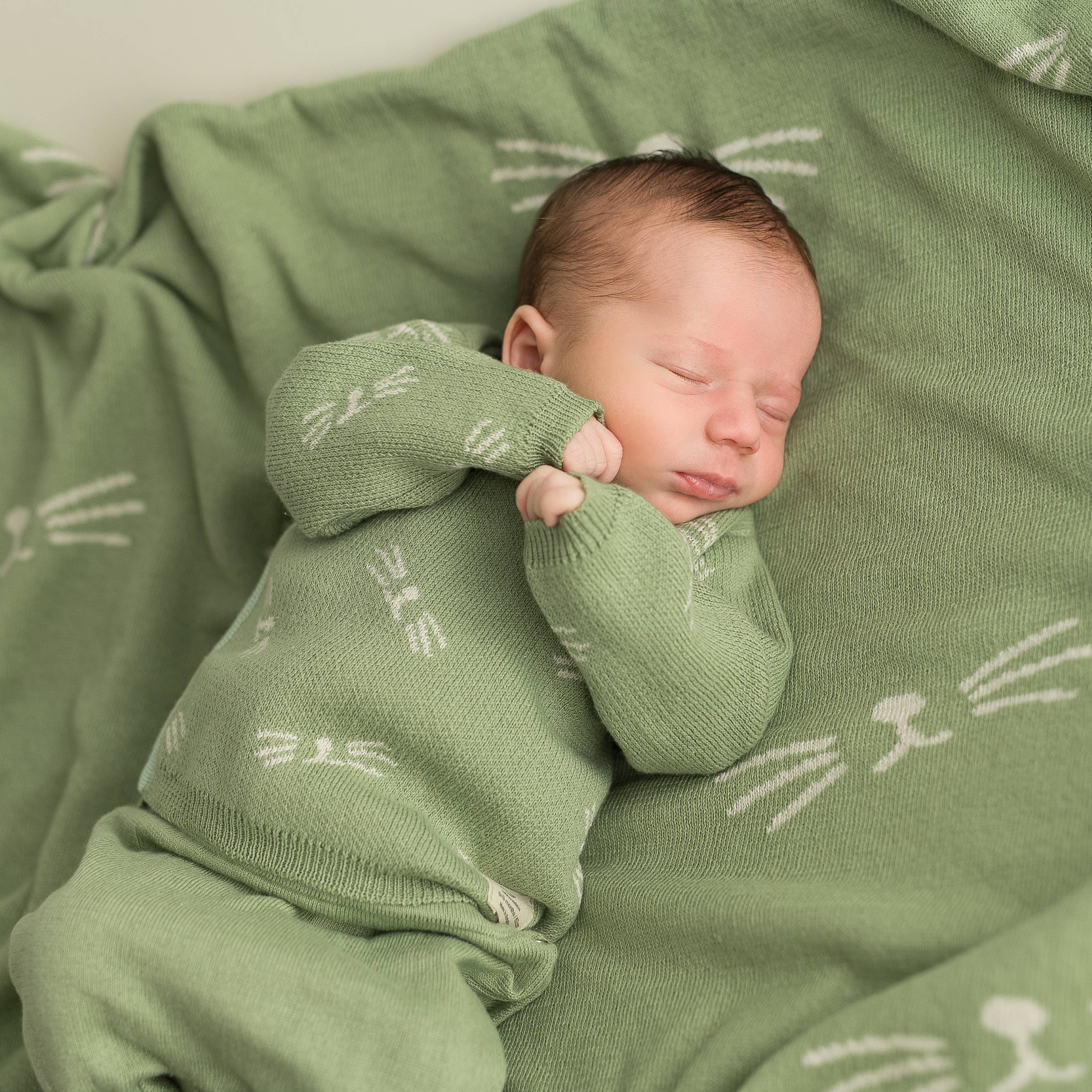 micu micu - Wholesale Clothing Set - Baby - Newborn Pack animal whiskers mint8