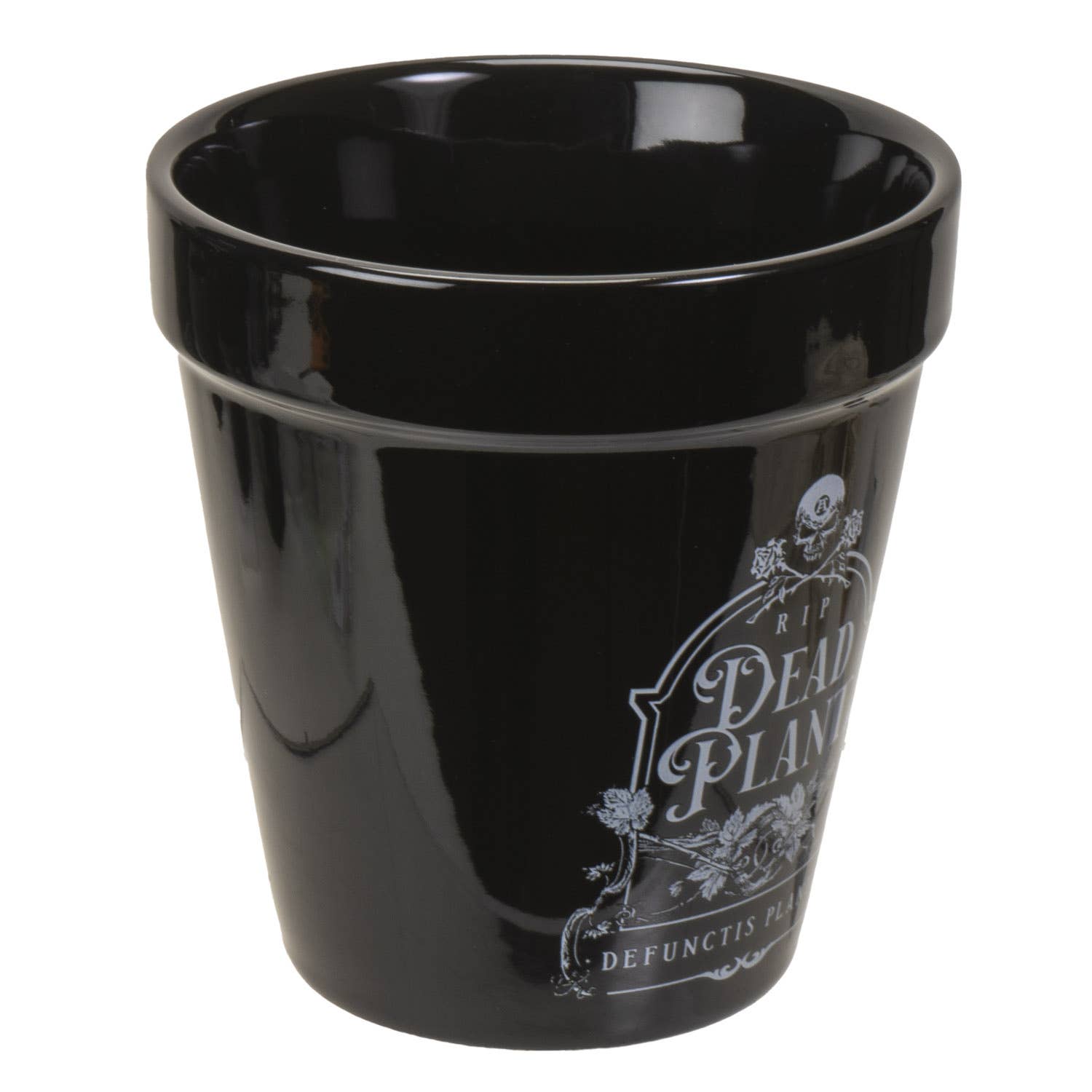 Pacific Trading - Wholesale Plant Pot - Alchemy Gothic Planter Pot Dead Plant 2