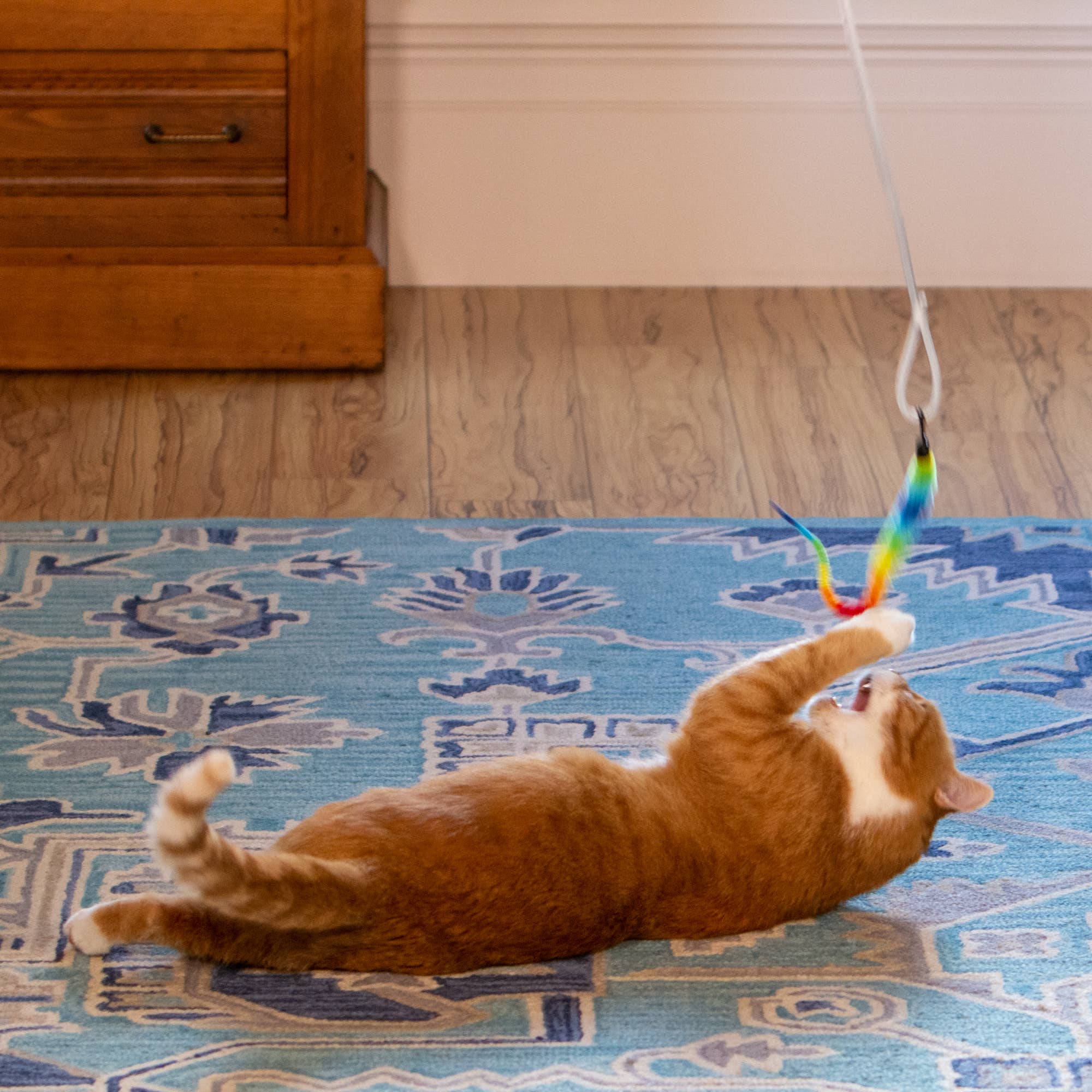 Squishy Face Studio - Wholesale Speeltje - Kat - Squishy Face Studio Tough Teaser Katten Speelgoed met 2 Lokmiddelen2