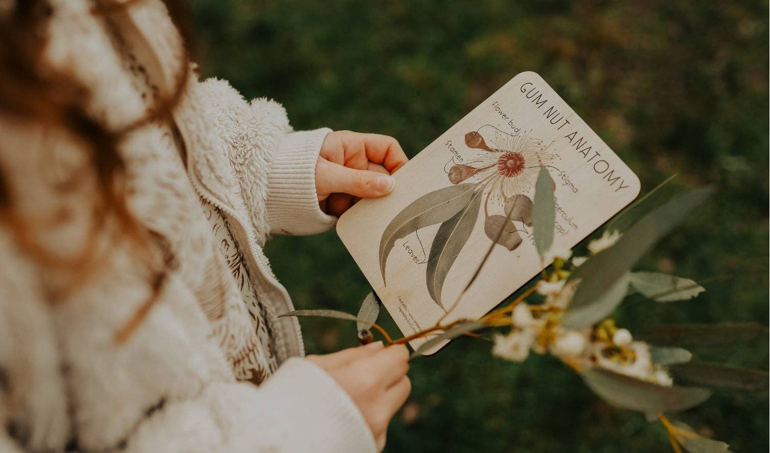 Timber Kids – wholesale Learning cards – Child & baby – Gum Nut Anatomy Timber Tile1