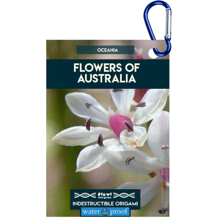 Flowers of Australia-Indestructible Origami for wholesale by Flexi Field Guides