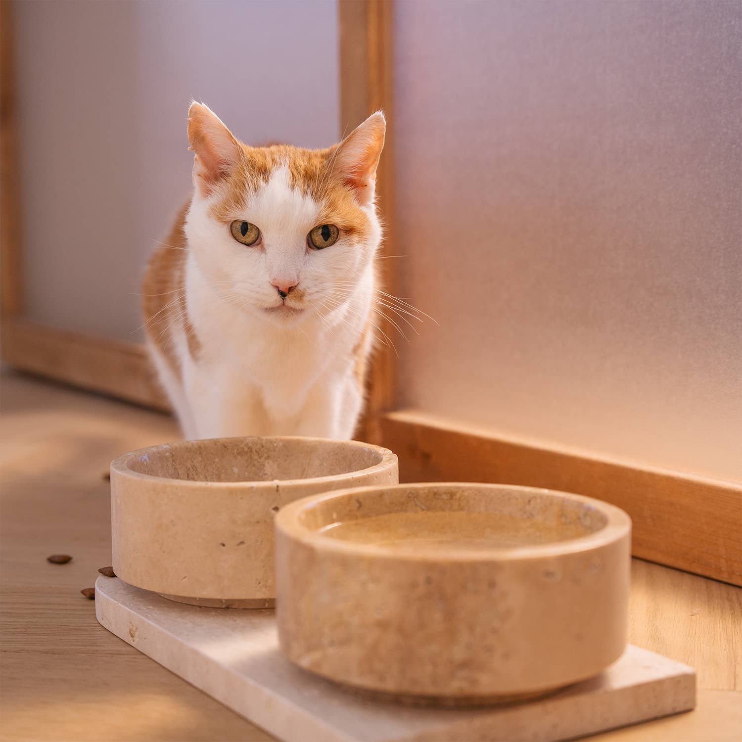 Kiwano Concept - Wholesale Pet Bowl - Cat/Dog - TRAVERTINE PET BOWL SET7