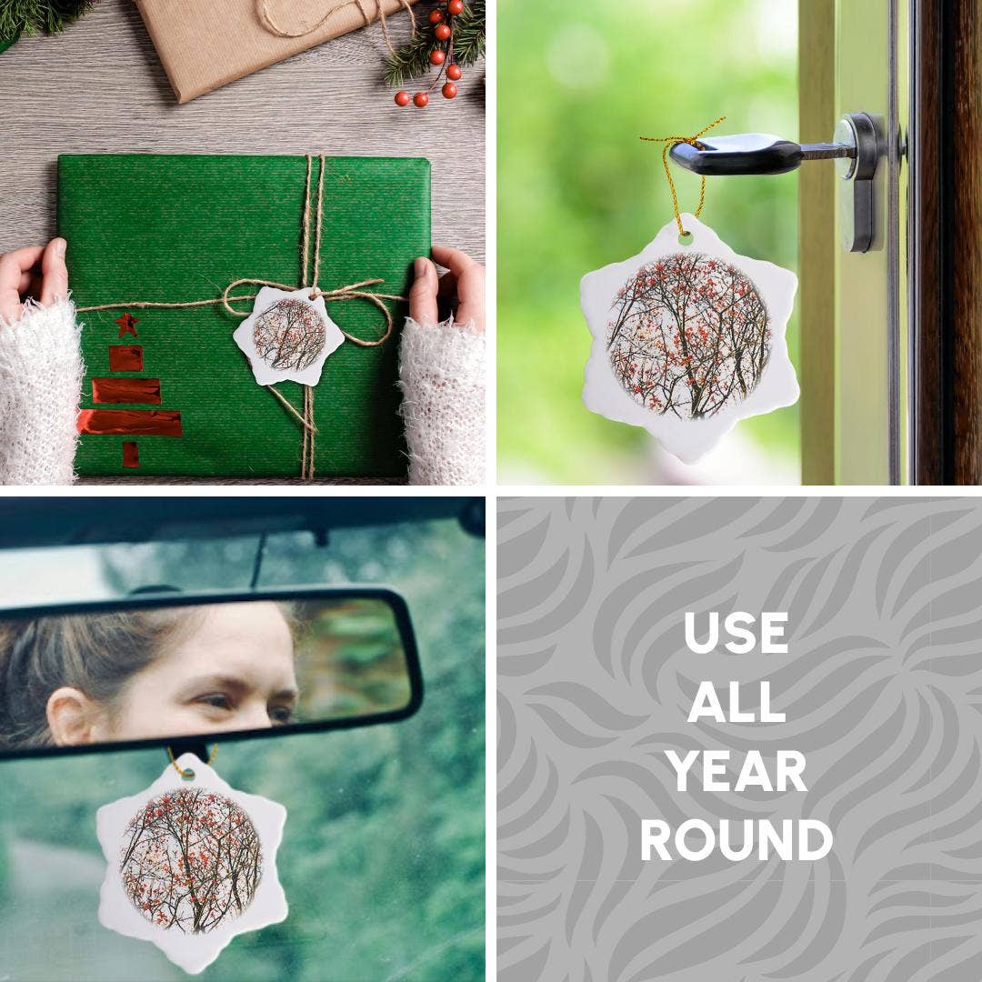 3dRose - Wholesale Ornament - 3dRose, Rowan tree, red berries, white background, Ornament4