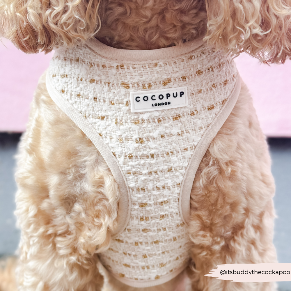 Cocopup London - Wholesale Tuig voor huisdieren - Hond - Vanillekleurig Getextureerd Tweed Verstelbaar NekHARNAS13