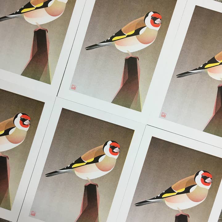 VrijFormaat - Vendita all'ingrosso Stampa artistica - Stampa Riso - Cardellino Europeo - Stampa artistica di uccelli - Formato A42