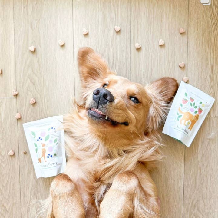 Botanical Bones - Wholesale Hondenkoekjes - Hond - Love Bites - Trainingssnoepjes | Biologisch | Voor Alle Honden 💕5