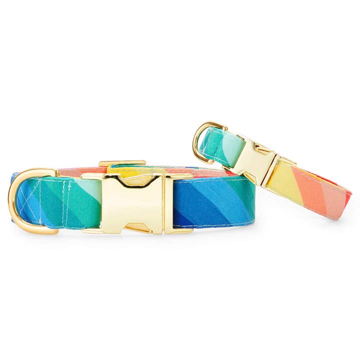 The Foggy Dog - Wholesale Pet collar – Dog - Over the Rainbow Dog Collar2