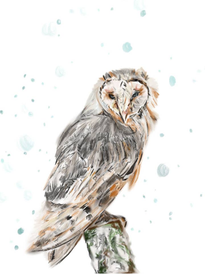 Owl in the Snow Print for wholesale by Third Wolf Designs