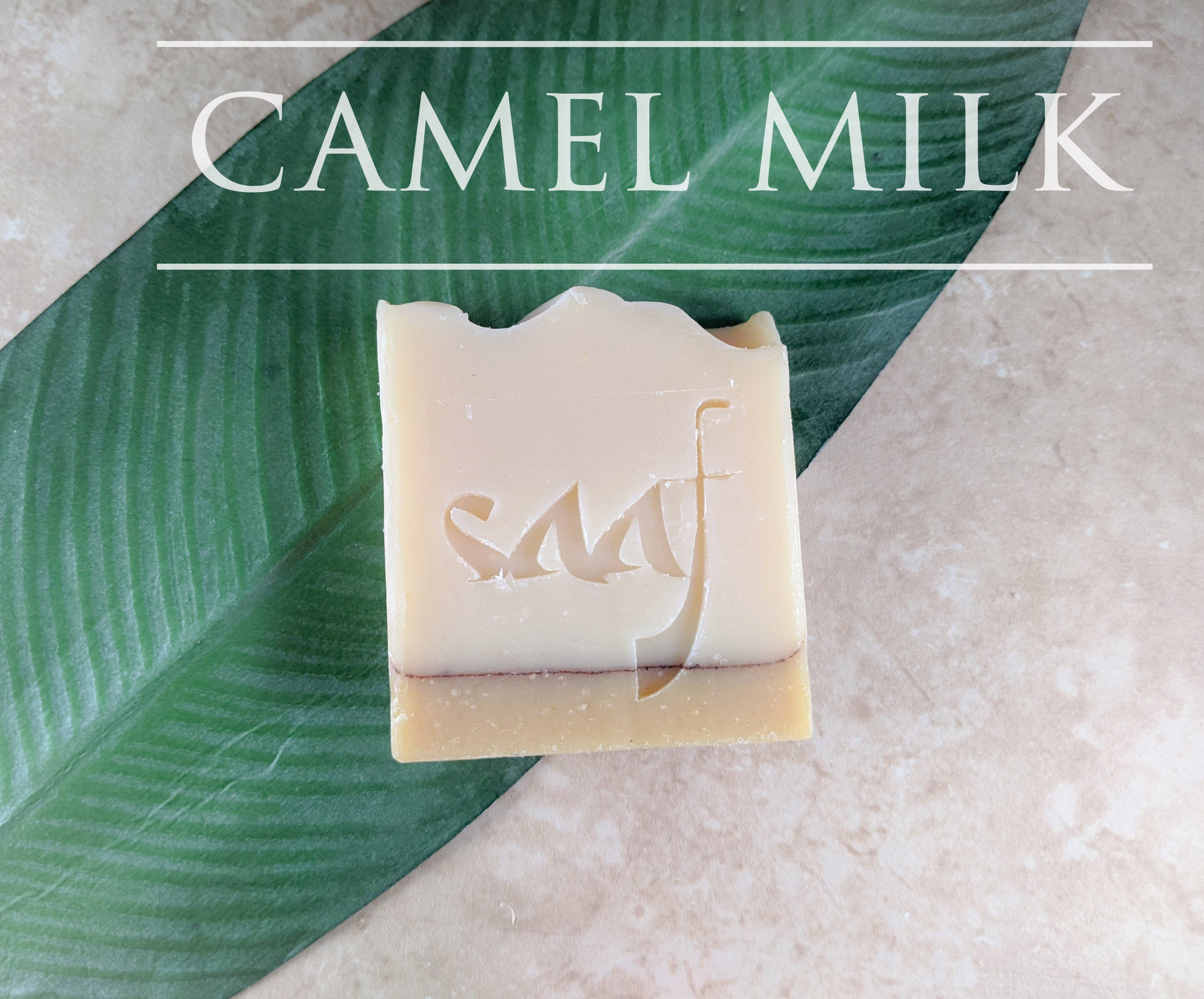 Saaf Body - Venta al por mayor Pastilla de jabón - Jabón de leche de camello para rostro y cuerpo2
