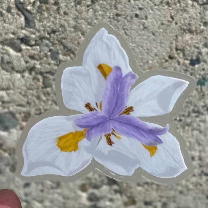 Pegatina de Arte de Iris - 3" - Calcomanía Transparente para venta al por mayor de Nurelle Creations