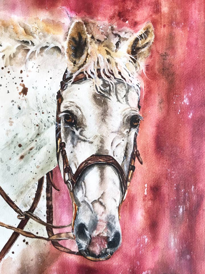 Estudio de retratos de caballos, impresión artística de 8 x 10 pulgadas sobre papel para venta al por mayor de Joshua by Oak