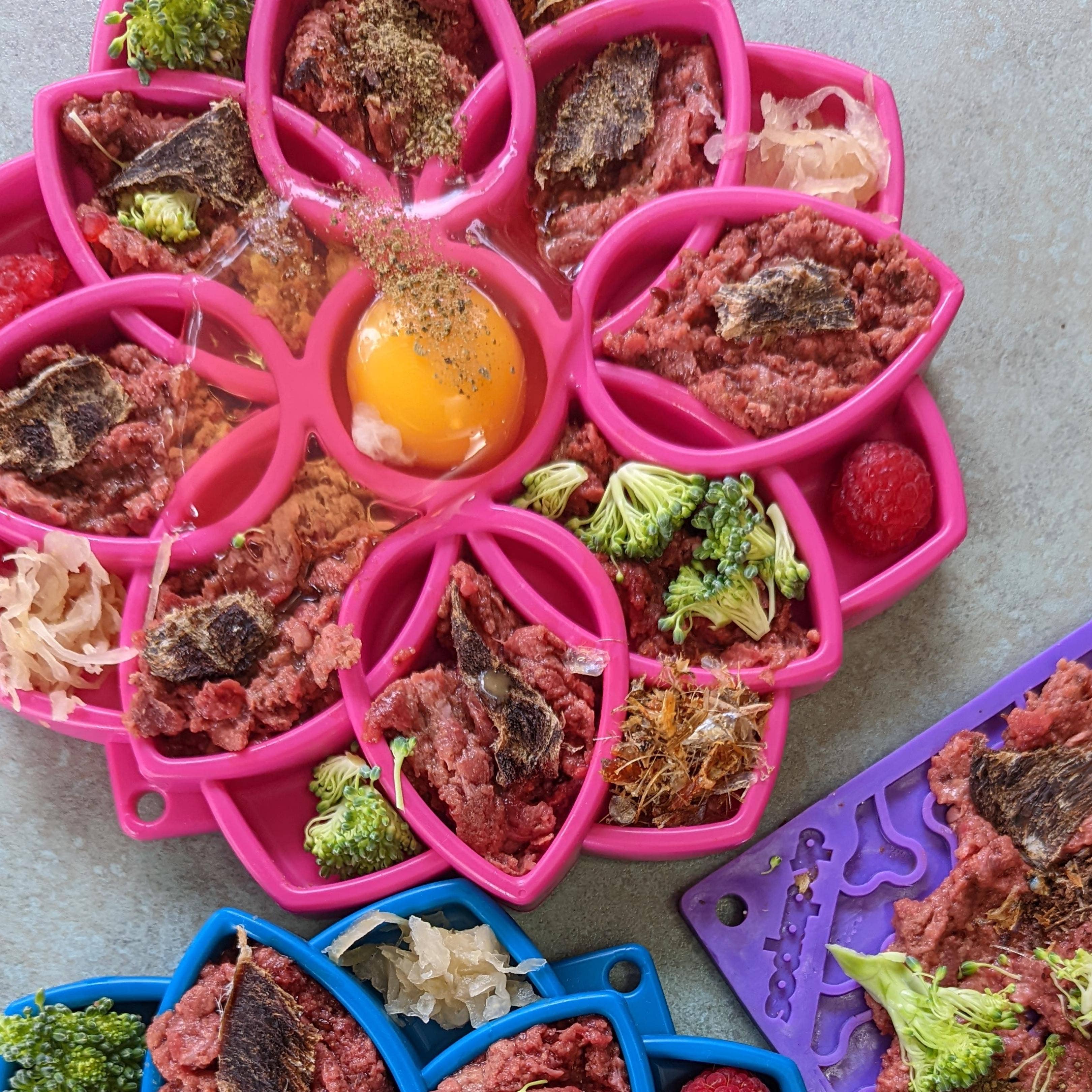 Rover Pet Products - Venta al por mayor Comedero - Gatos y perros - Mandala eTray Comedero Lento16