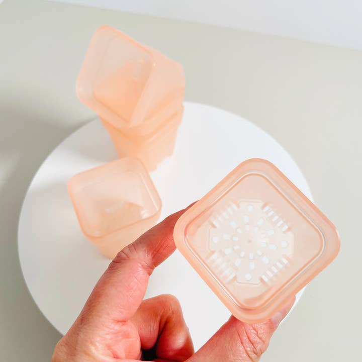 Coco and Palm Trees - Wholesale Plant Pot - Pink Mini Square Pots3