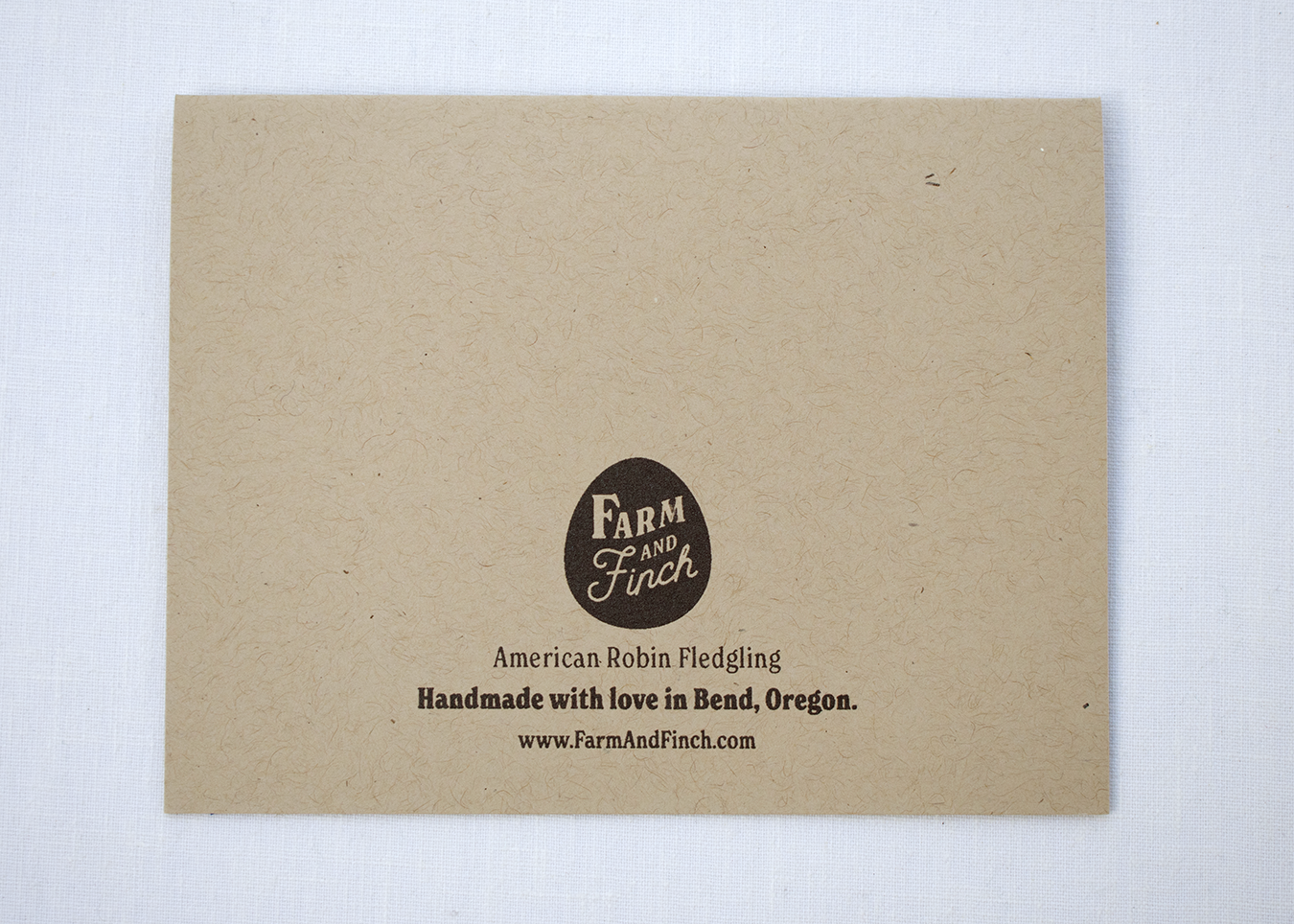 Farm and Finch Creative - Wholesale Everyday Greeting Card - Robin Fledgeling Card4