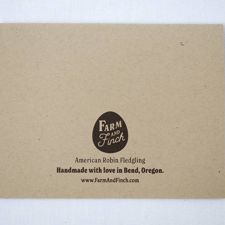 Farm and Finch Creative - Wholesale Everyday Greeting Card - Robin Fledgeling Card4