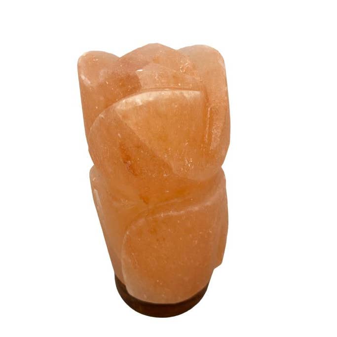 Lampada di Sale Himalayano Zenn Forma di Loto con Base in Legno-020 per la vendita all'ingrosso da parte di International Gifts Ltd.