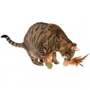 Natural Cat Toy - Wholesale Pet Toy - Cat - Pheasant Feather Silver Vine Ball1